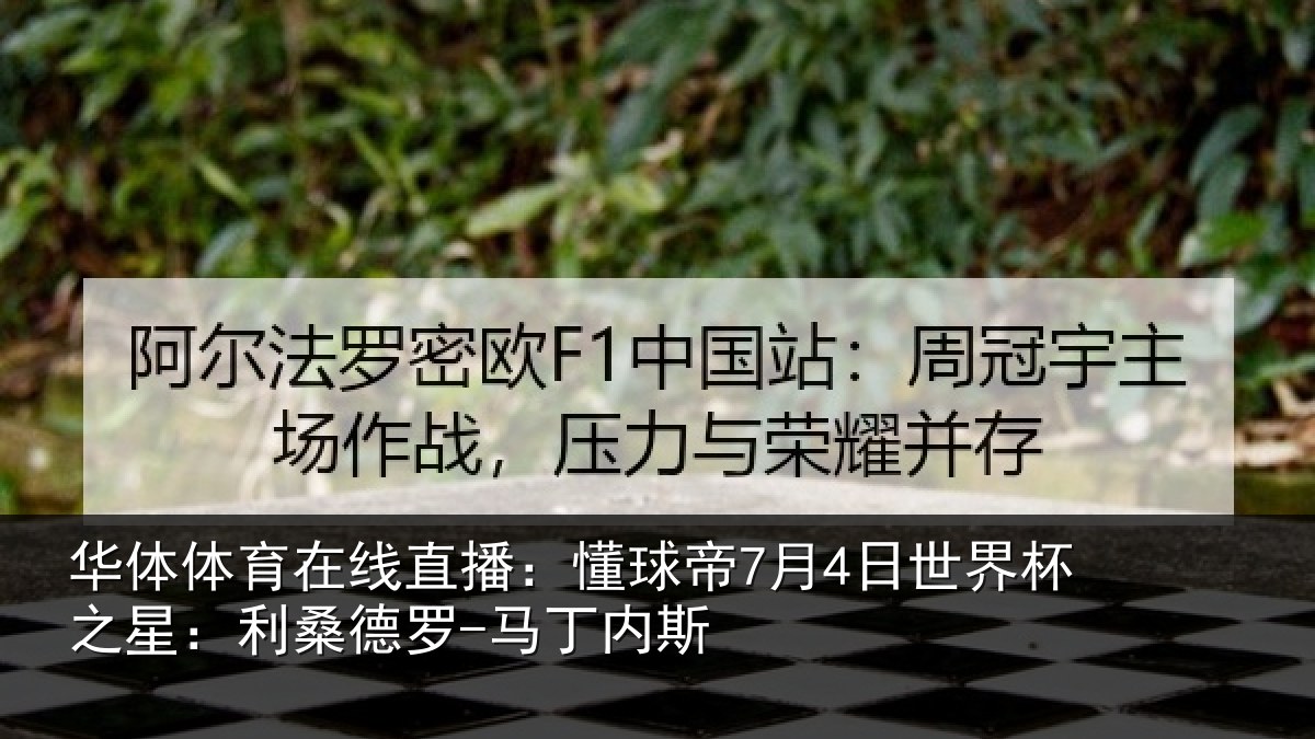 华体体育在线直播:懂球相关情况:利桑德罗-马丁内斯