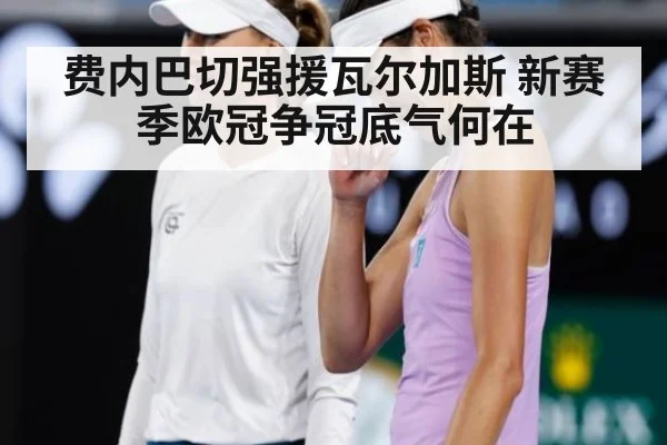 费内巴切强援瓦尔加斯 新赛季欧冠争冠底气何在